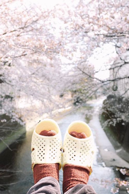 bộ ảnh Dép tổ ong gây sốt cộng đồng mạng